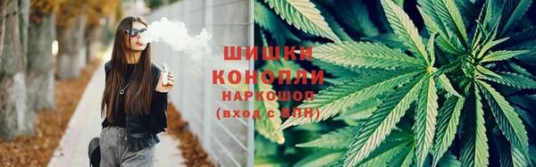 PSILOCYBIN Арсеньев