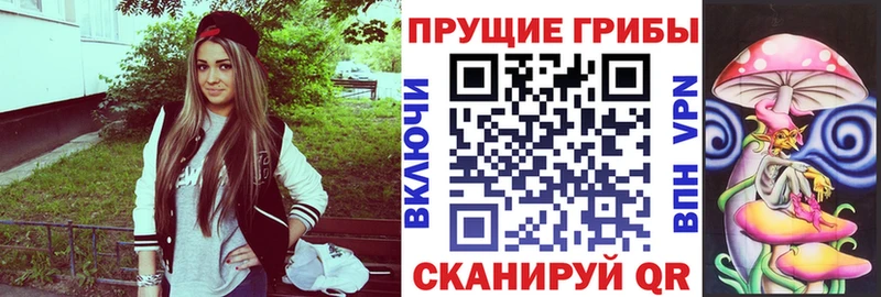 что такое   Петровск  Галлюциногенные грибы GOLDEN TEACHER 